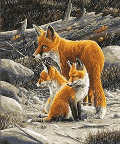 Fox Family Animals Paint By Numbers