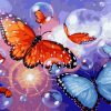 Butterfly in Bubbles Animals Paint By Numbers