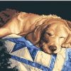 Lazy Dog Animals Paint By Numbers
