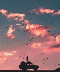 Birds in The Sky Landscape Paint By Numbers