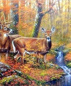 Mule Deer Animals Paint By Numbers