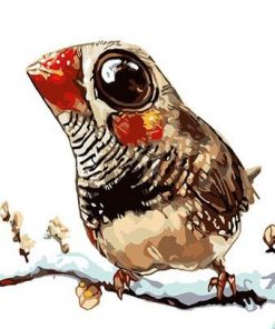 Cute Bird On Branch Birds Paint By Numbers