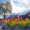 Flowers on the Mountains Landscape Paint By Numbers