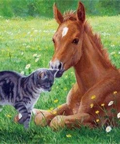 Cat and Horse in The Meadow Animals Paint By Numbers