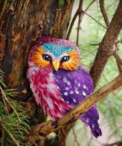 Colorful Beautiful Owl Birds Paint By Numbers