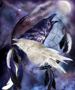 Black and White Crow Birds Paint By Numbers