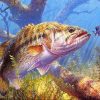 Big Fish Animals Paint By Numbers