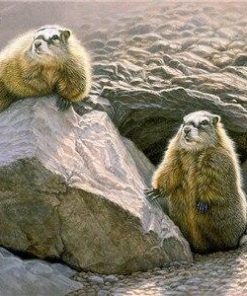 Prairie Dog From Cave Animals Paint By Numbers