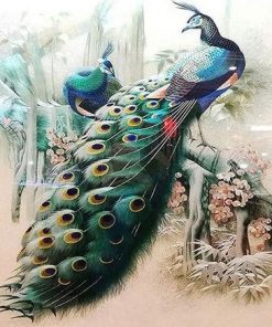 Forest Peacock Birds Paint By Numbers