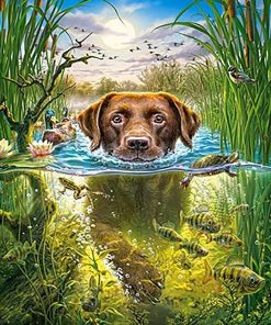 Dog Swim Animals Paint By Numbers