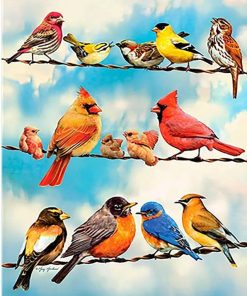 Birds On Wire Birds Paint By Numbers