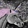 Black Unicorn Horse Animals Paint By Numbers