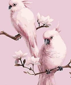 Pink Parrot  Birds Paint By Numbers