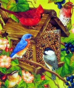 Colourful Bird Houses Birds Paint By Numbers
