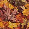 Falling Fall Leaves Landscape Paint By Numbers