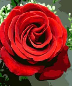 Romantic Rose DIY Paint By Numbers