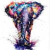 Color Elephant Animals Paint By Numbers