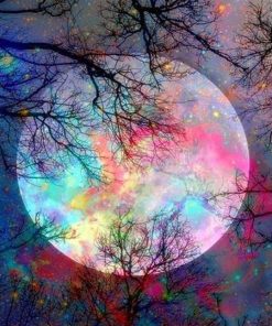 Goodnight Moon Landscape Paint By Numbers