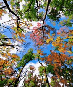 The Sky of Trees Landscape Paint By Numbers