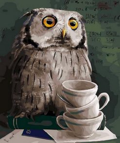 Owl Studied Birds Paint By Numbers