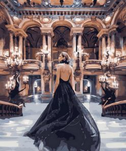 Lady in Black Dress People Paint By Numbers