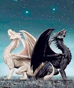 Dragon Twins Animals Paint By Numbers