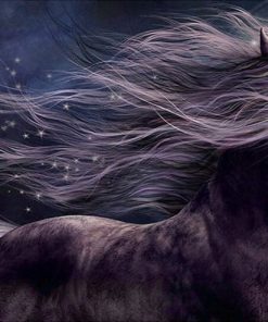 Dreamy Horse Animals Paint By Numbers
