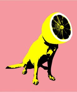 Lemon Dog Animals Paint By Numbers