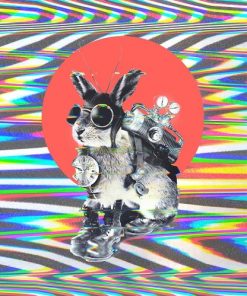 Time Travel Bunny Rabbit Animals Paint By Numbers