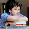 Classy Handsome Timothee Chalamet NEW Paint By Numbers
