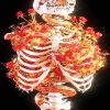 Skull With Flowers NEW Paint By Numbers