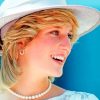 The Beautiful Lady Diana paint by numbers