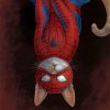 Spider Cat paint by numbers