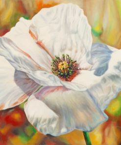 White poppy anemone paint by numbers