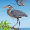 great-blue-heron-birds-paint-by-number