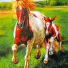 Mustang Horses Paint by numbers