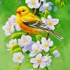 goldfinch-blossoms-bird-paint-by-number