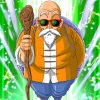 Dragon Ball Z Master Roshi Paint by numbers