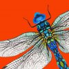 abstract-dragonfly-paint-by-numbers