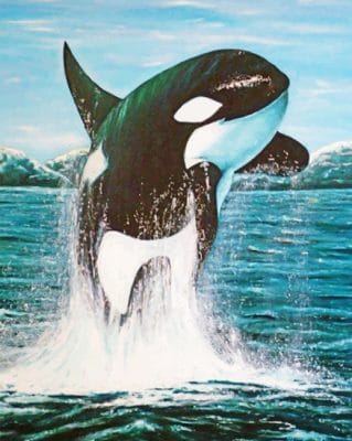 Whale Paint by numbers
