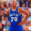 chicago-bulls-dennis-rodman-paint-by-numbers