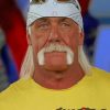 cool-hulk-hogan-paint-by-number