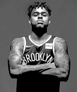 d-angelo-Brooklyn-Nets-paint-by-number