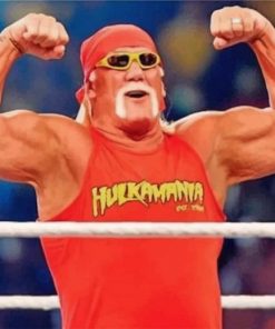 hulk-hogan-paint-by-numbers