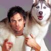 ian-somerhalder-with-his-pet-paint-by-numbers