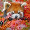 red-panda-and-leaves-paint-by-numbers