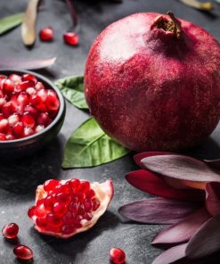 Pomegranate Photography paint by numbers