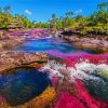 Cano Cristales Columbia paint by number