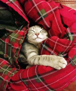 Cute Cat Sleeping In A Blanket paint by number