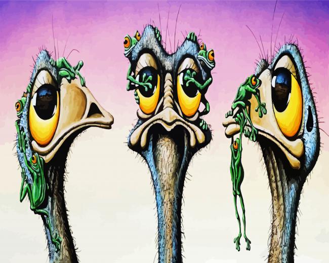 Emu Birds And Frogs Paint By Numbers